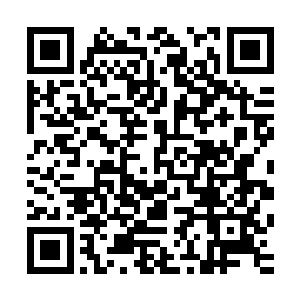 因为一直都没有什么动静的炼丹工会的长老也开始有所动作了二维码生成