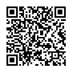 因为一股强大的场域直接以寿礼为中心辐射了出去二维码生成