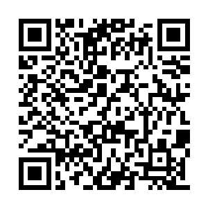 因为一般情况下这个时候奥利维亚不会联络家中二维码生成