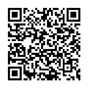 因为一般的法术对拥有多脉络的我根本不起作用二维码生成