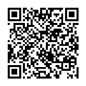 因为三关的测试是修行界经过无数次的经历才总结出来的二维码生成