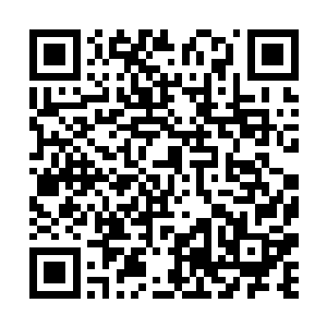 因为上次秦家和明月家的人去接秦梦琪和明月轩两人二维码生成