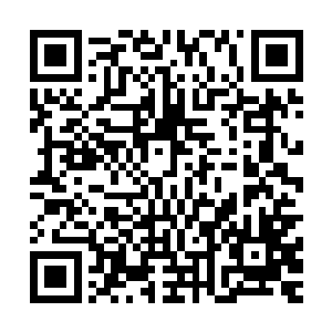 因为上次黑师父就是拉着白师父跑到龙脊峰悬崖上互相灌酒的二维码生成