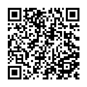 因为不敢给中国队任意球――程涛的直接任意球能力二维码生成