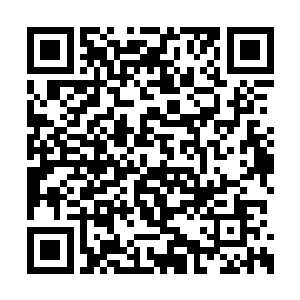 因为不管是在原主的本体剧情还是后来两次剧情二维码生成