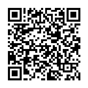 因为东青城的中央并不是其他城池那般的常规的城主府二维码生成