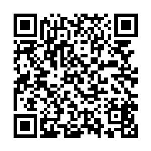 因为两位警探花费了无数心机也没有能够逮捕到凶手二维码生成