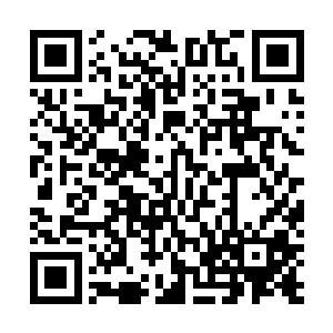 因为两柄锋利的刀刃不知何时竟然依然停在了自己的眼前二维码生成