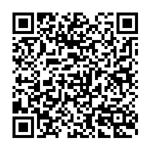 因为主神从玩家身上抽取的一部分费用是要分给他们这些管理员的二维码生成