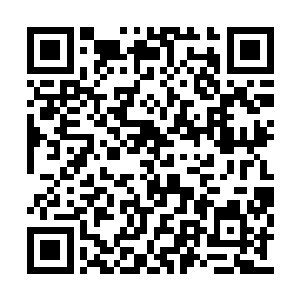 因为之前为我凝聚出屏障消耗了他们不少的力量二维码生成