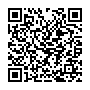 因为之前已经从伏天狮口中得知药尊界的真正来历二维码生成