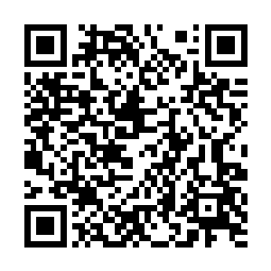 因为之前已经走掉的琴瑟色突然就出现在她面前~二维码生成