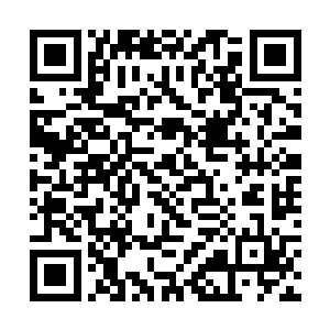 因为九脉合一与八脉合一的结果也只差了妘牧这一脉二维码生成