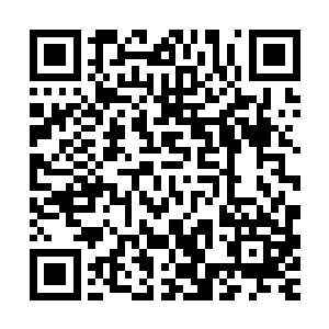 因为九门十长老简直就是恨不得将自己的所有本事全都交给夏天二维码生成