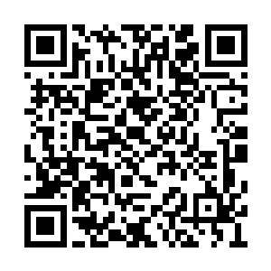 因为京城人都认得那几辆马车上陈圣世家的标记二维码生成