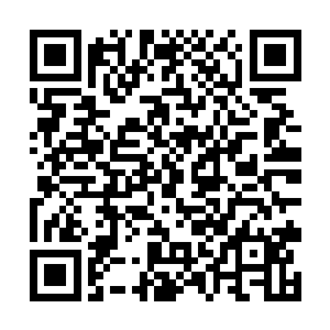 因为京城兵区的首长符作云是盛首长一手提拔起来的二维码生成