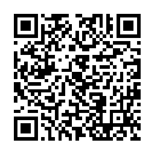 因为人类社会有三条亘古不变的法则其一是弱肉强食二维码生成