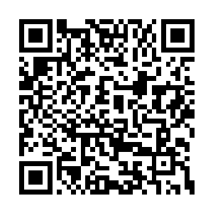 因为人门不允许我们跟其他的弟子有太多的交流二维码生成