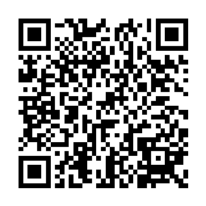 因为仇大山知道燕无双从始至终就没信任过铁奎二维码生成