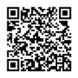 因为从下周开始我跟我太太就要为孕育我们的孩子而做准备了二维码生成