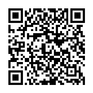 因为从今以后我们的敌人不再是北地世俗界的三大家族二维码生成