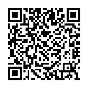 因为从她的身上依旧是一副没有丝毫修为的模样二维码生成