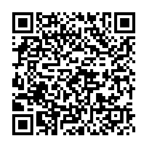 因为从方方面面的信息反馈出来的意思是向刚和丁二狗的关系很密切二维码生成