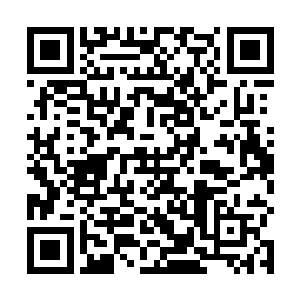 因为从月季身上看到了她们当时在一起执行任务的画面二维码生成