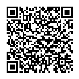 因为从那个陨落的傀儡宗弟子的描述之中并没有提到这个珠子的用途二维码生成