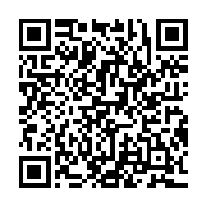 因为他一直以来无法凝聚出域的原因就是无法感知到自己的能量二维码生成