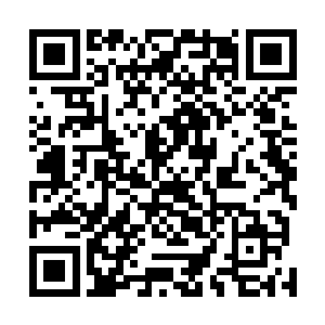 因为他不会问出既然这么危险为何你们还要进来的话语来二维码生成