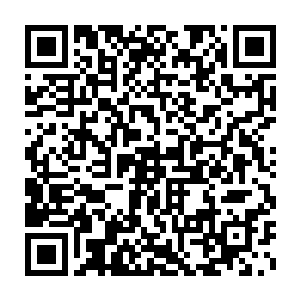 因为他不可能明着说我不知道你们这群老家伙葫芦里卖的是什么药二维码生成