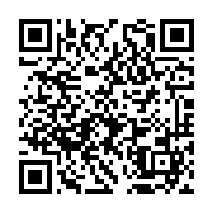 因为他也不知道美佳姐的生命什么时候会出现问题二维码生成
