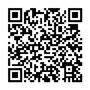 因为他也在这一百年时间内将修为提升到化神后期了二维码生成