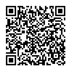 因为他亲眼看到三大部门的部长为了争夺楚暮的归属而争吵得面红耳赤二维码生成