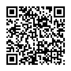 因为他亲眼看到了龙羽两千万都毫不犹豫地送人了二维码生成