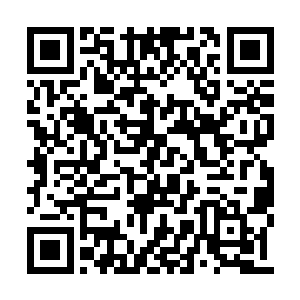 因为他今天带着他的球队对战的是一个明星队伍二维码生成