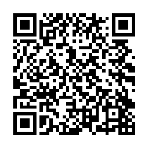 因为他从一开始就服用着疤脸独臂人给他的高级丹药二维码生成
