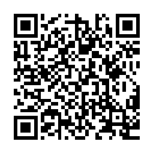 因为他从木木那瞬间绷紧的小腿感觉到了令他头皮发麻的危急二维码生成