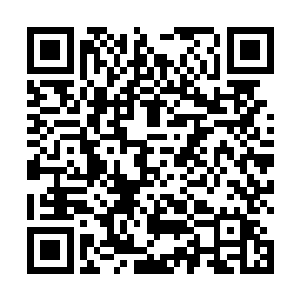 因为他从白菜的长裙当中看到了一丝丝不该看到的东西二维码生成