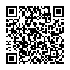 因为他从雾花闪电隼的目光中看到了满满的杀气二维码生成