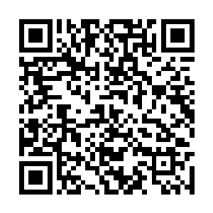 因为他们为好莱坞带来的都是开创式发展的新局面二维码生成