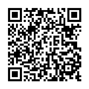 因为他们也认识到了自己和林烽之间天大的差距了二维码生成