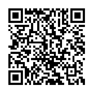 因为他们也都看到或者听到许紫烟轰碎雨族大门二维码生成