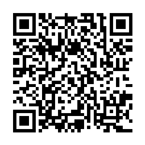 因为他们作为这个体系的另外两角却不具有相互制约的作用二维码生成