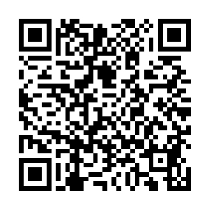 因为他们击中的火阳炎并没有如他们所愿的那样摔下来二维码生成