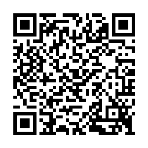 因为他们发现对方完全是跟他们以命换命的打法二维码生成