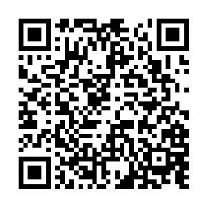 因为他们发现肇事者已经控制了他们的老大哈里斯二维码生成