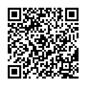 因为他们发现金甲傀儡的身上竟然连一丝伤痕都没有二维码生成