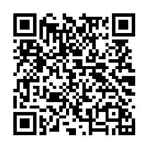 因为他们同样也看到了这枚天道石外放恐怖威力后二维码生成